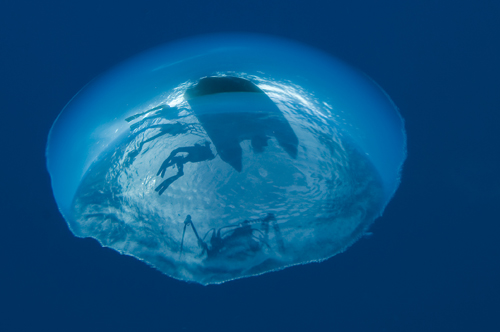 500-jheller_bubble_reflection