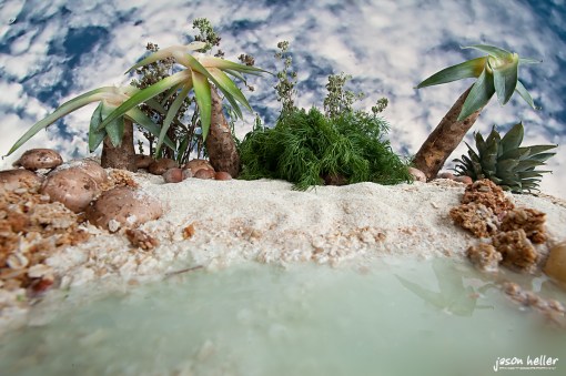 Spice Island - Foodscape