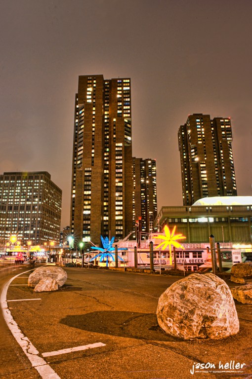 NYC Palm Trees and Boulders
